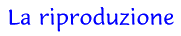 La riproduzione
