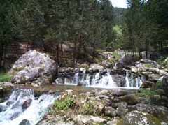 cypress grove at fontegreca